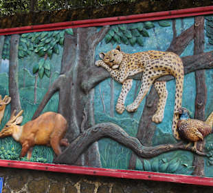 Padmaja Naidu Himalayan Darjeeling Zoo