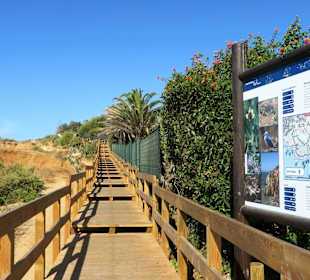 Neurer Holzsteg zur Steilküste