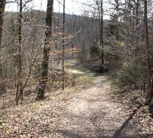 Geologischer Lehrpfad Kirnbachtal