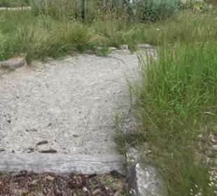 ALB-GOLD Naturgarten