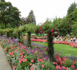 Im Butchart Garden unterwegs