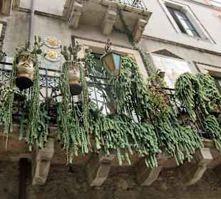 In der Via degle Ariste