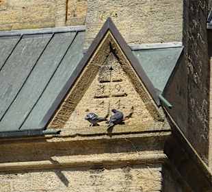 Stadtrundgang Singen