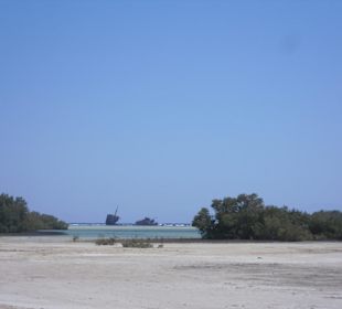 Blick auf das Schiffswrack "Maria Schröder" 