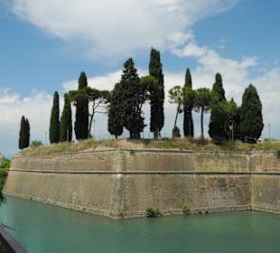 Mauer mit edlen Bäumen bewachsen