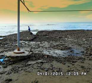 Algen weit und breit, man kann kaum laufen