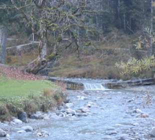 Bachlauf