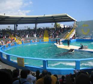 Miami Seaquarium