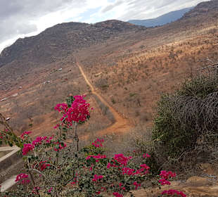 Tsavo Ost und West Safari