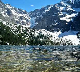 Przyroda w cieniu gór nad Morskim Okiem