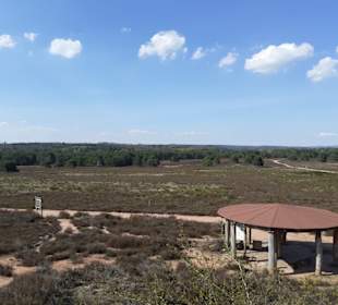 Mehlinger Heide