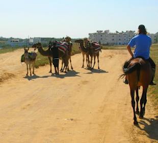 Reitausflug ins Hinterland