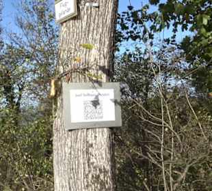 Josef-Stellbauer-Gleitschirm-Startplatz