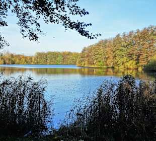 Eindrücke vom Rundweg durch den Volkspark Bokel