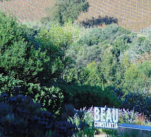Weingut Beau Constantia