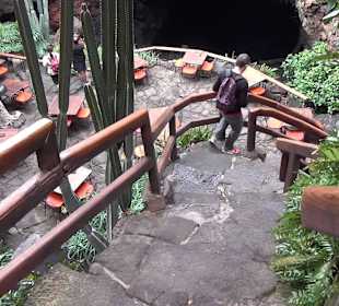 Jameos del Agua