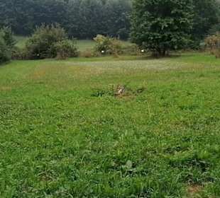Schaugarten Eninger Weide