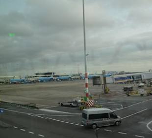 Flughafen Schiphol (AMS)