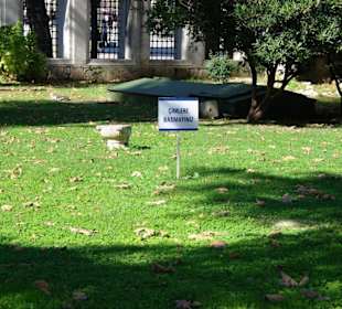 At Meydanı (Hippodrom)