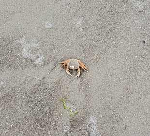 Strand St. Peter Ording