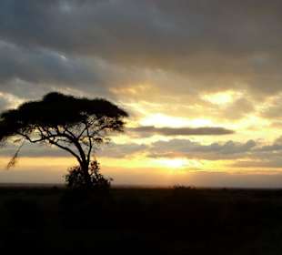 Safari Amboseli Sonnenaufgang