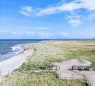 Naturschutzgebiet Graswarder