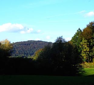 Wälder-Berge was will man mehr?