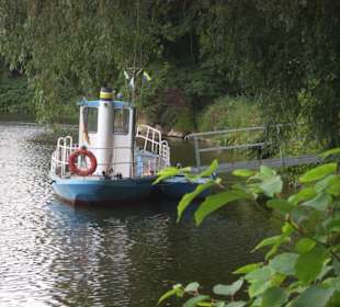 Muldentalschifffahrt