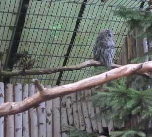 Impressionen aus dem Zoo Karlsruhe