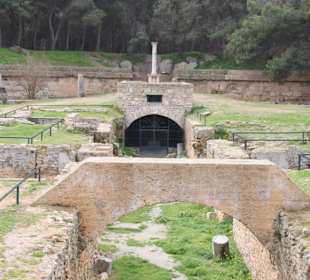 Arena