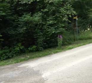 Themenweg Kaiserweg Zimmern