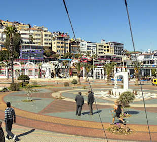 Wunderschön in der Sonne