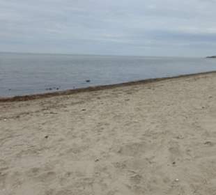 Am Naturstrand von Rosenhagen