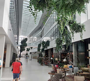 Altstadt Linz in Linz