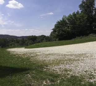 Burg Wäscherschloss