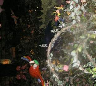 Im Rainforest Cafe