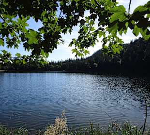 Feldsee