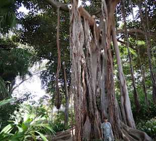 Botanischer Garten Puerto de la Cruz