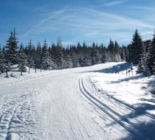 Höhenloipe Dobratsch