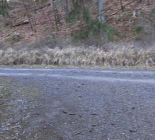 Ochsenweiher Rundweg