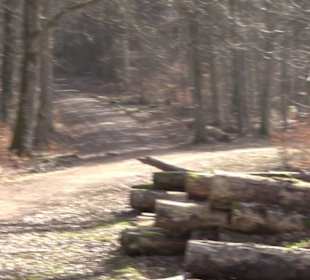 Premiumwanderweg Hohenwittlingensteig