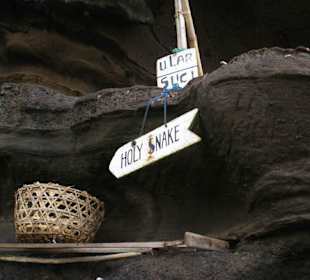 Święty wąż w świątyni Tanah Lot