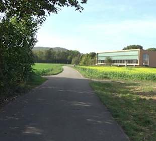 Wanderung zur Burgruine Liebenau