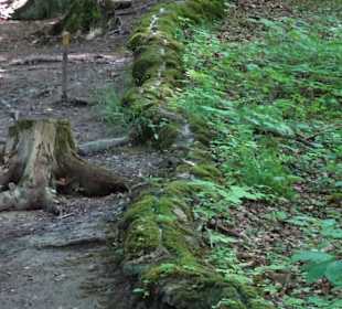 An der Steinernen Rinne Roschlaub