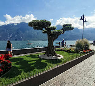 Uferpromenade