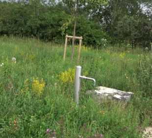 ALB-GOLD Naturgarten