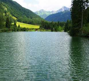 Der Grünsee im Blick