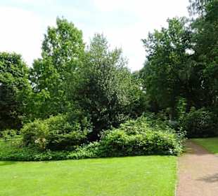 Hochsommer im Kurpark Bruchhausen-Vilsen