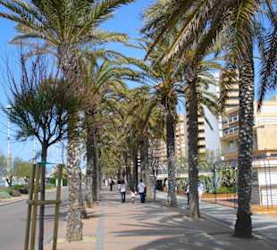 Ansichten der Playa dePalma