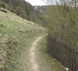 Burgruine Hohenhundersingen